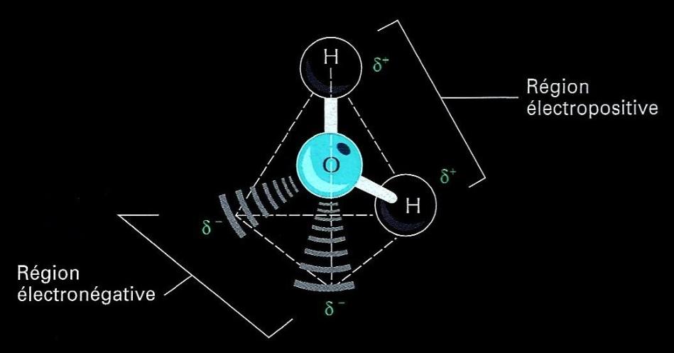 Schéma de la molécule H2O